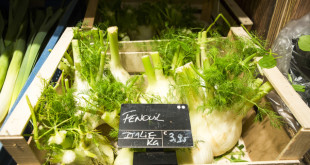 Fennel for sale in an organic food shop